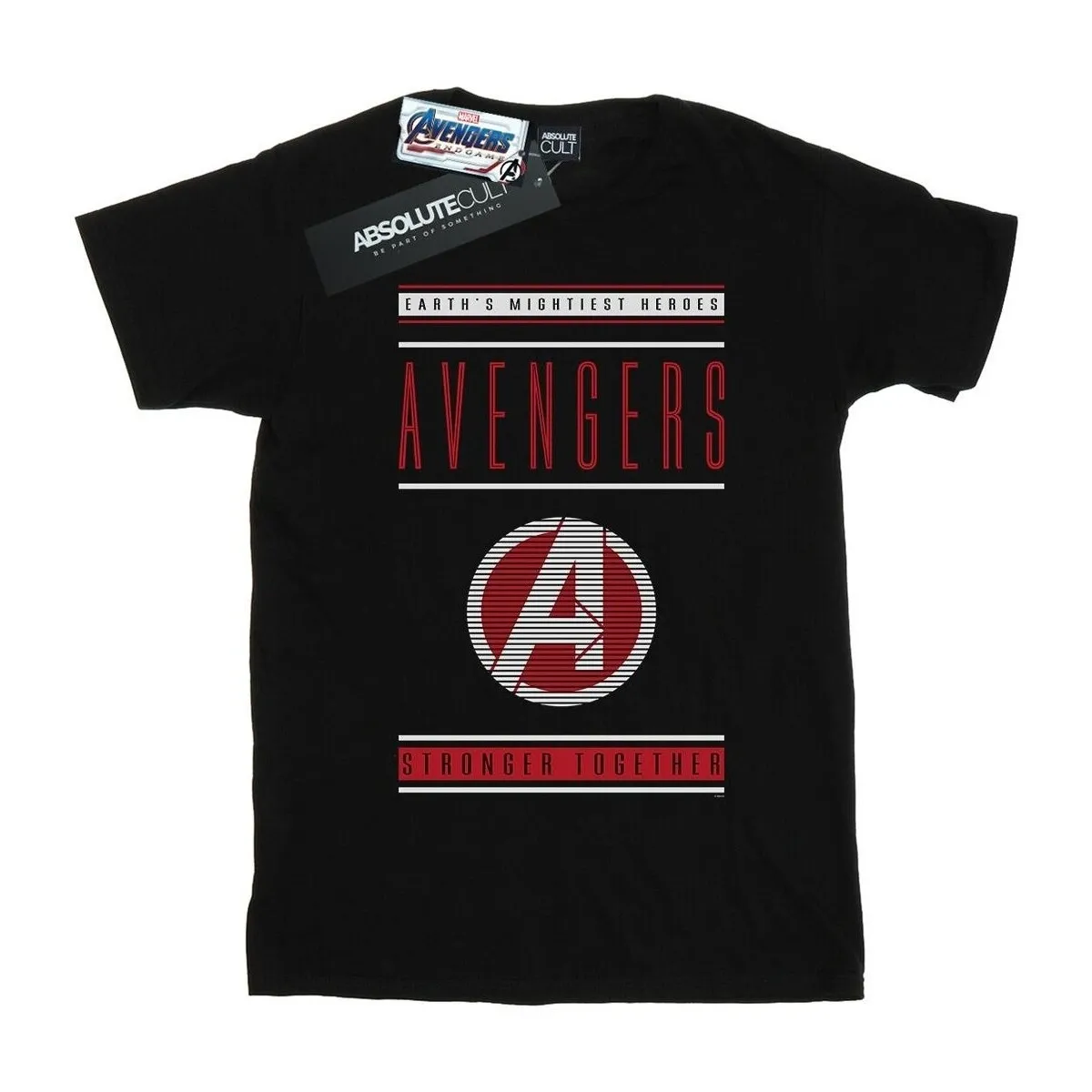 Avengers Endgame Stronger Together