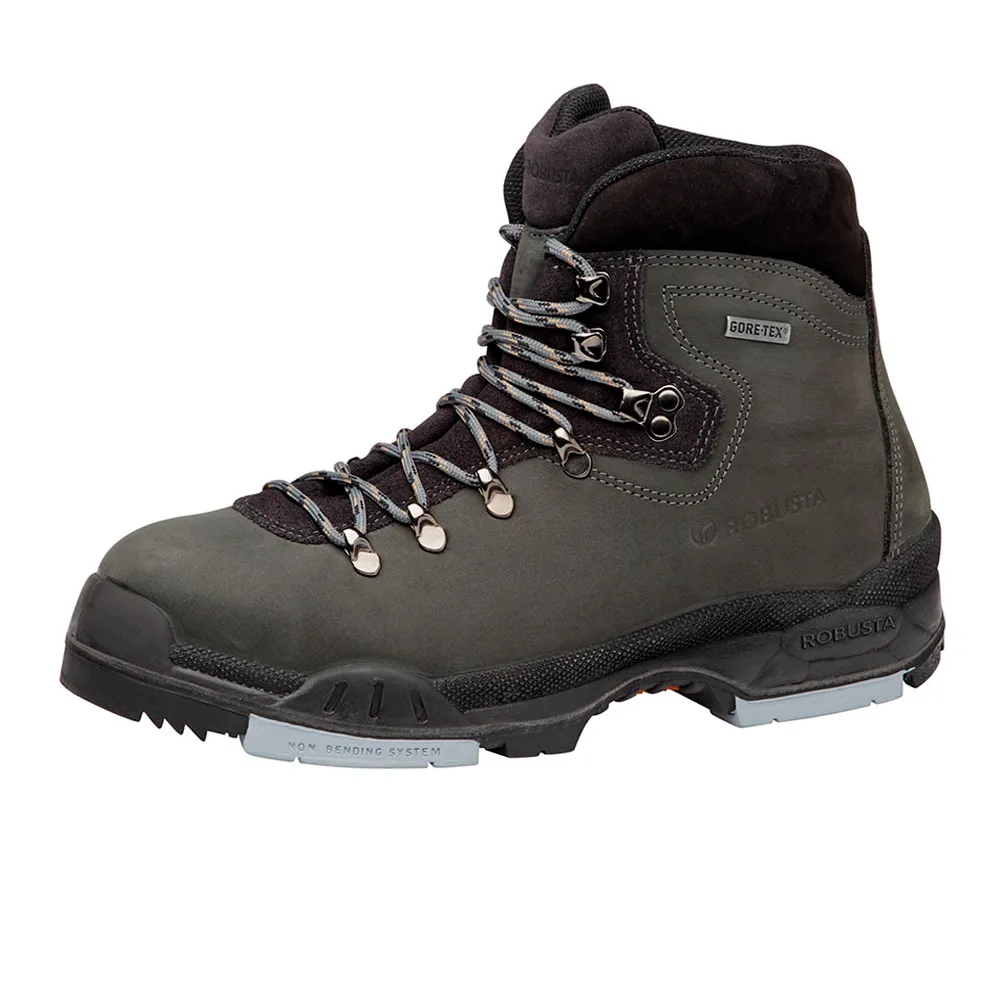 Bota de seguridad Robusta Dascilus GTX S3