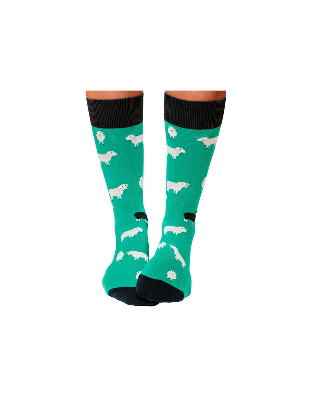 Calcetines Jimmy Lion Black Sheep Turquoise