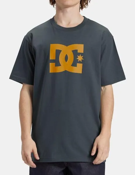 CAMISETA DC SHOES STAR  STORMY WEATHER