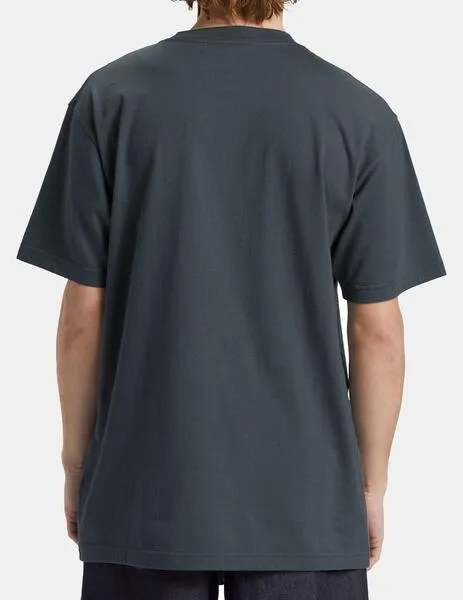 CAMISETA DC SHOES STAR  STORMY WEATHER