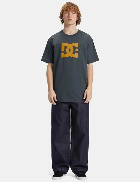 CAMISETA DC SHOES STAR  STORMY WEATHER