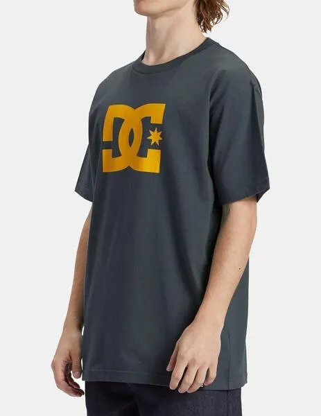 CAMISETA DC SHOES STAR  STORMY WEATHER