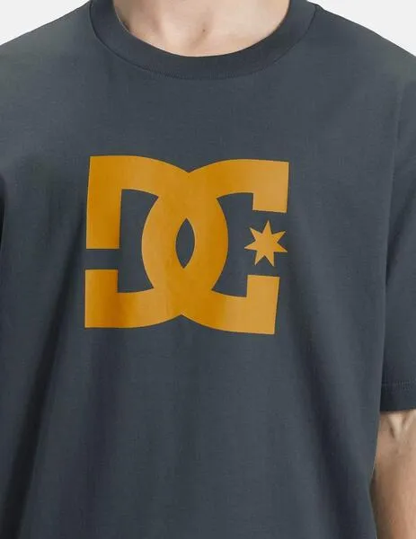 CAMISETA DC SHOES STAR  STORMY WEATHER