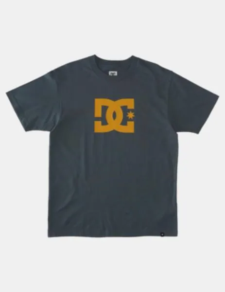 CAMISETA DC SHOES STAR  STORMY WEATHER
