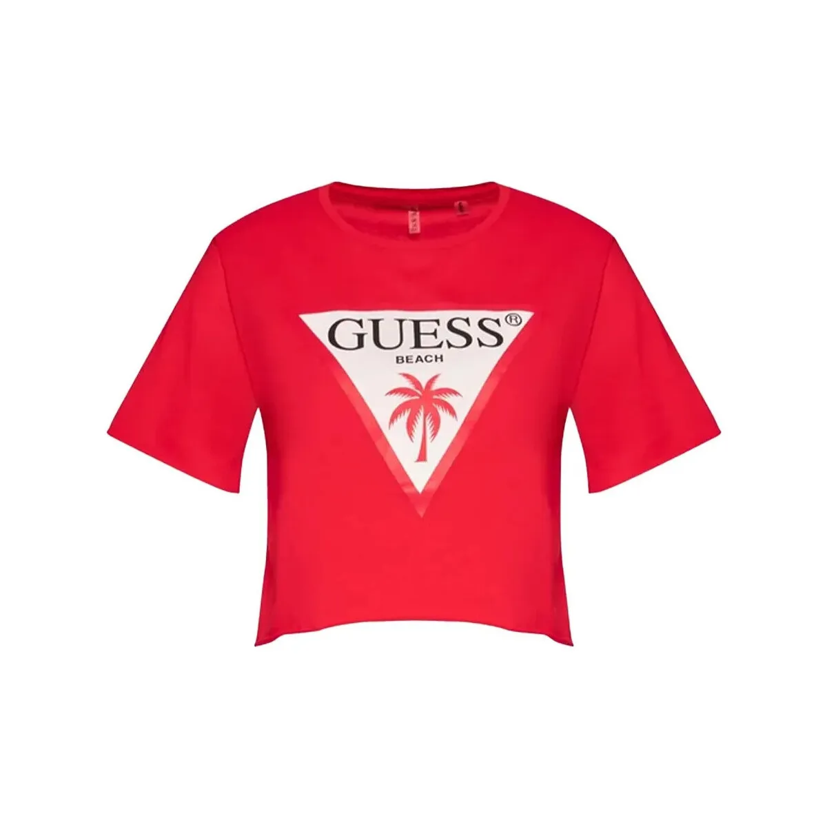 Palmas