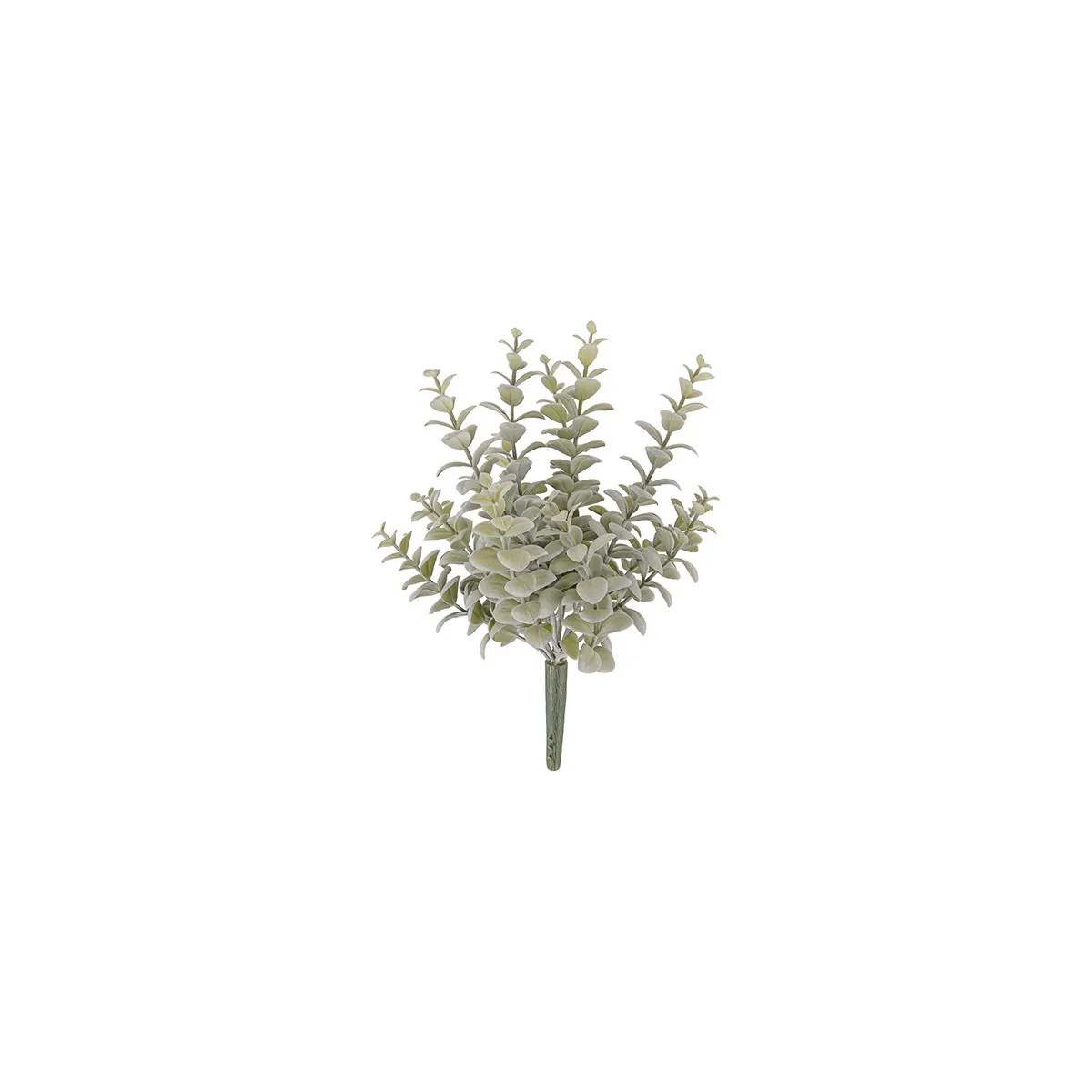 Privet