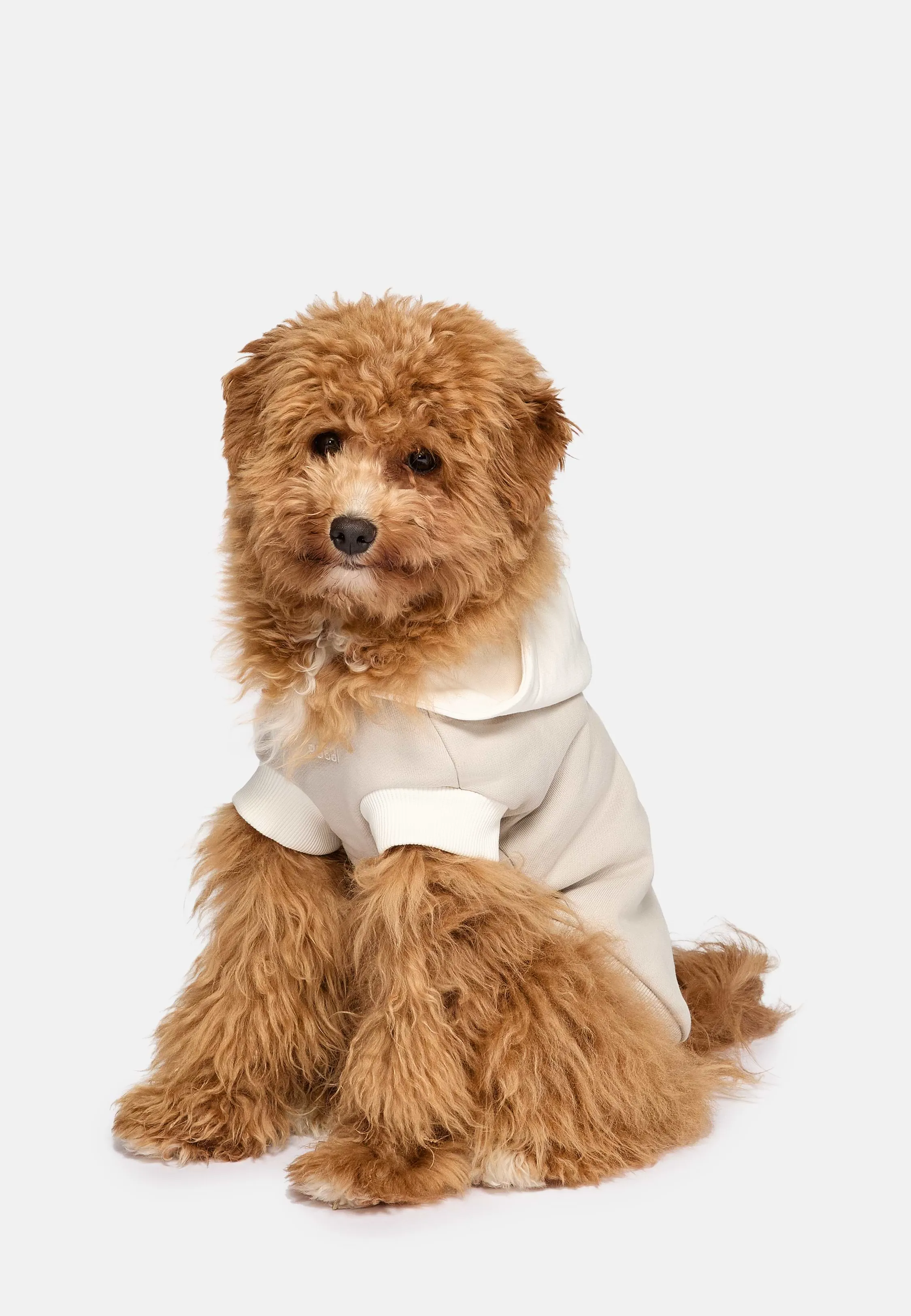 Sudadera Con Capucha Para Perros De Algodón