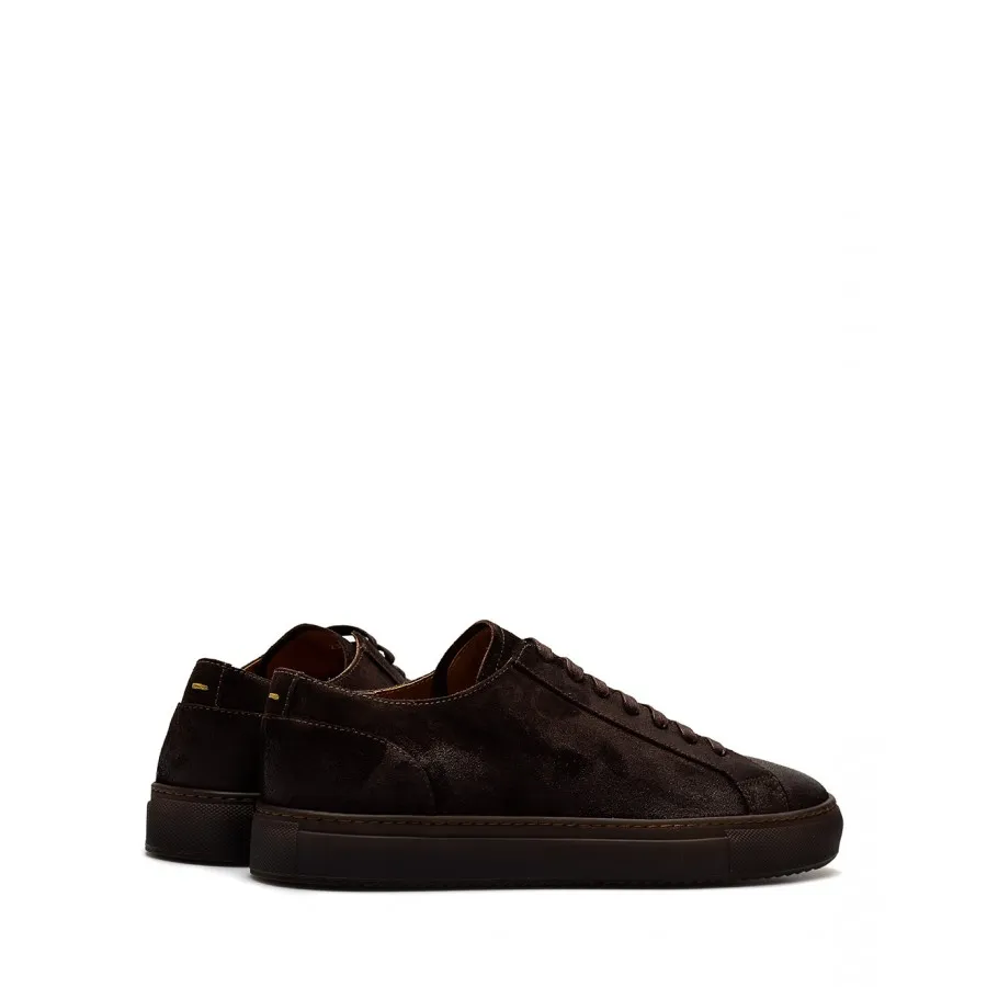 Zapatos Hombres Sneakers DOUCAL'S RM00 Oil TMoro Marron